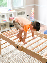 Load image into Gallery viewer, Caterpillar Climber