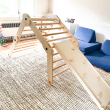 Load image into Gallery viewer, Caterpillar Climber