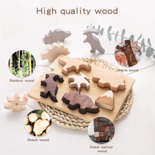 Load image into Gallery viewer, Wooden dinosaur puzzle