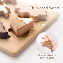 Load image into Gallery viewer, Wooden dinosaur puzzle